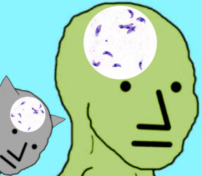 0f6.jpg