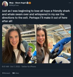 shark cures all woes.jpg