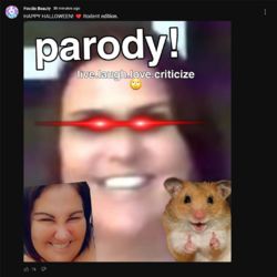 Screenshot 2022-10-18 at 15-17-22 Foodie Beauty.png