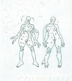 draft (2).png