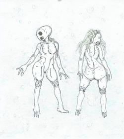 draft (1).png