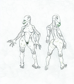 draft (4).png