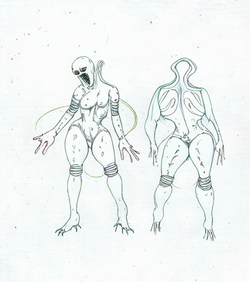 draft (6).png