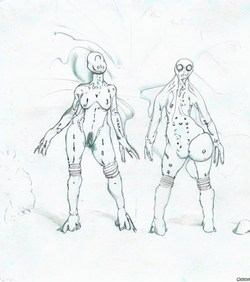 draft (8).png