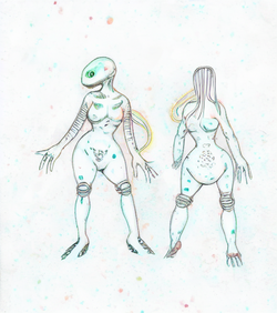 draft (10).png