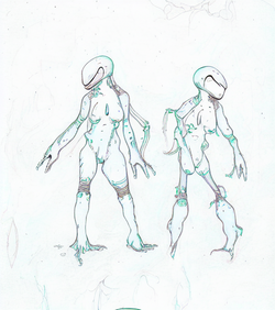 draft (9).png