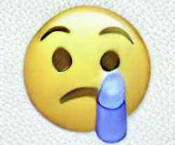 1666115873944.png