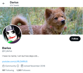 2022-10-17 20_11_41-irldarius (@irl_darius) _ Twitter - Brave.png