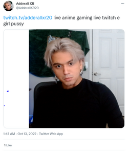 2022-10-17 20_12_02-Adderall XR on Twitter_ _https___t.co_Hv6RfKdvK0 live anime gaming live tw...png