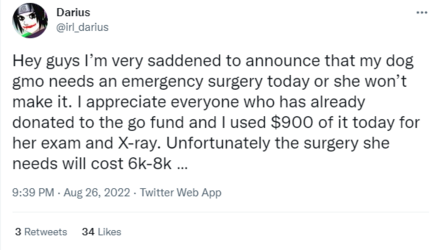 2022-10-18 16_25_07-Darius on Twitter_ _Hey guys I’m very saddened to announce that my dog gmo...png