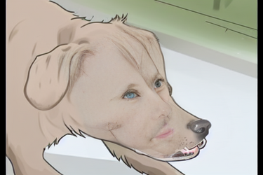 download.png