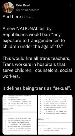 Screenshot_20221018-203455_Twitter.jpg