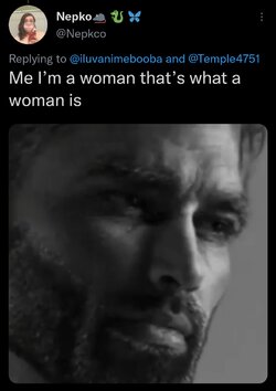 Screenshot_20221019-020120_Twitter.jpg