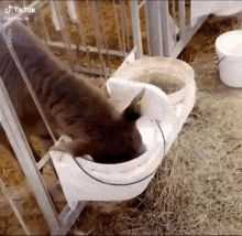 1666165940294372.gif