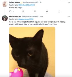 Screen Shot 2022-10-20 at 9.51.19 PM.png