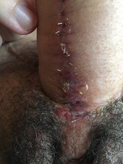 tumblr_inline_oy39f3ag2D1s40lo3_540.jpg