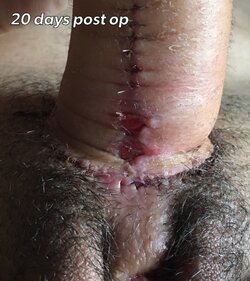 tumblr_inline_oy39f63oxN1s40lo3_540.jpg