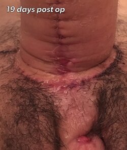 tumblr_inline_oy39f5E6Mz1s40lo3_540.jpg