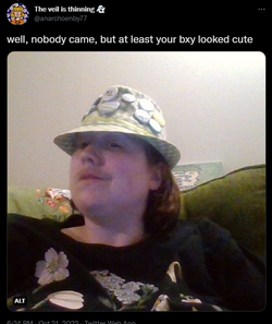 1666397836910.png
