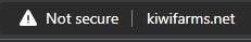 KiwiFarmsNotSecure.jpg