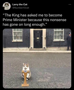 larry the cat prime minister.png