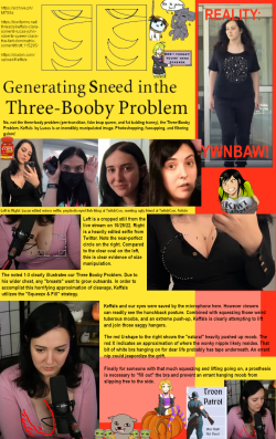 ThreeBoobyProblem.png