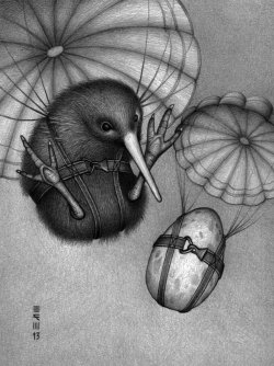fli_2013_kiwiparachute.jpg