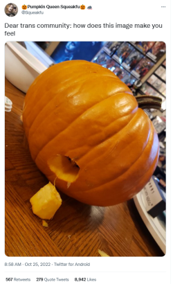Screenshot 2022-11-01 at 12-24-40 🎃Pumpkin Queen Squeakfu🎃 🐀 on Twitter.png