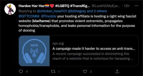 LizFongJonesThreatening2DDoSTerrahostTMobileAndGTTCOMM01.jpg