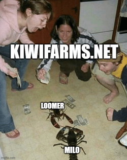 1667327900006.png