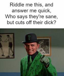 1736662-scaled.jpeg