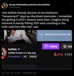 Keffals313views.jpg
