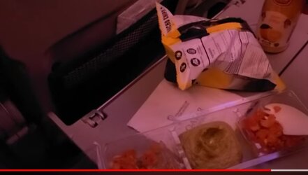 Screenshot_20221102-164232_YouTube.jpg