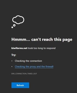 ConnectionTimedOutNET.jpg