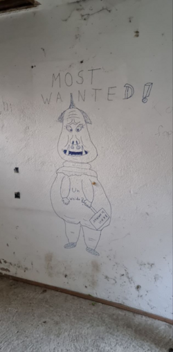 1667492495172.png