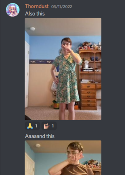 1667651291577.png