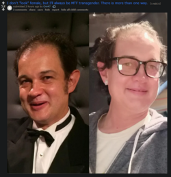 1667652876620.png