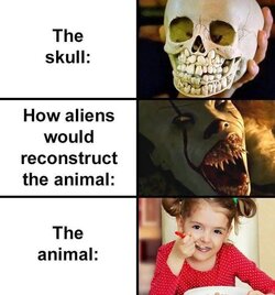 Fgzmbx9WQAIpveg.jpeg