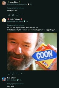 taylorlorenz9.JPG
