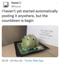 Screenshot_20221106-024053_Twitter.jpg