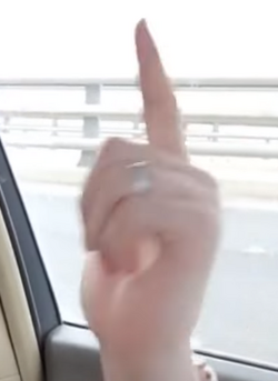 his ring2.png
