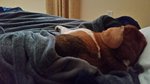 20180127_123429.jpg