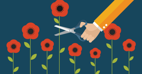 Tall_poppy_syndrome_1200x630.png