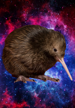 SpaceKiwi.png