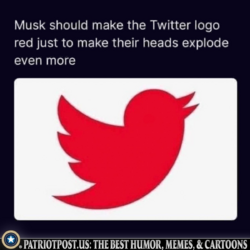 1667868006200.png