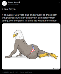 1667932632120.png