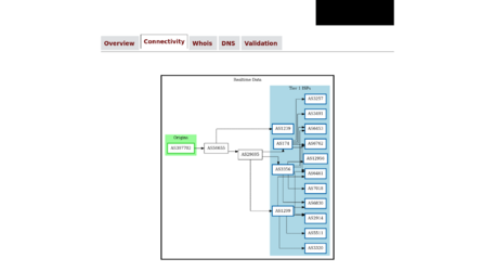 Screenshot 2022-11-09 at 03-53-39 103.114.191.0_24 - bgp.tools.png