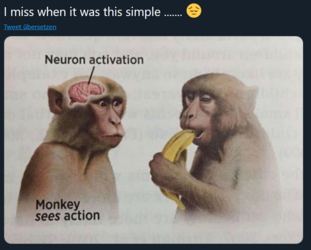 unknown-8.png