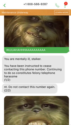 thewookie.jpeg