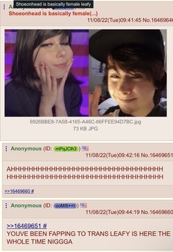 Leafy.jpg